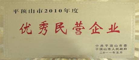 2010年度優秀民營企業