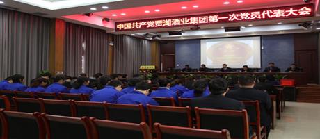 賈湖酒業第一次黨員代表大會