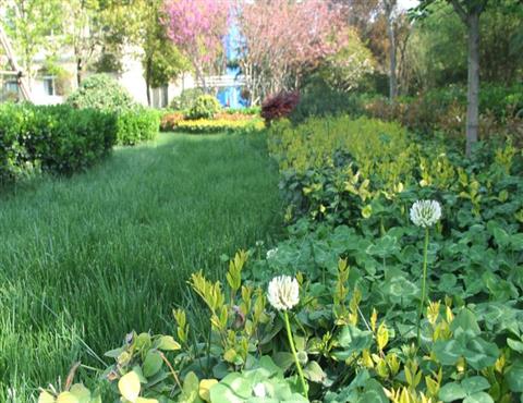 廠區一角（二）                                           