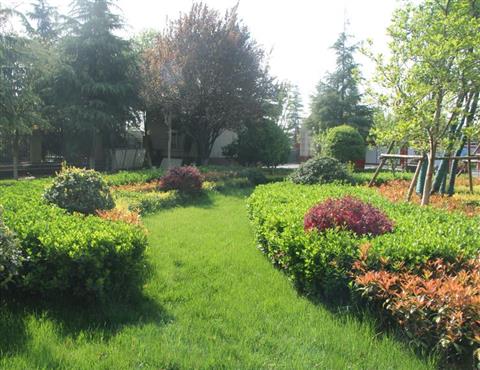 廠區一角（三）                                           