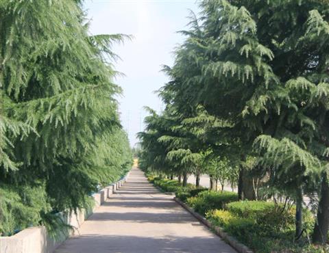 廠區一角（五）                                           