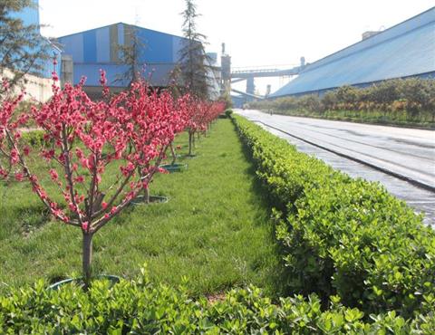 廠區一角（十）                                           